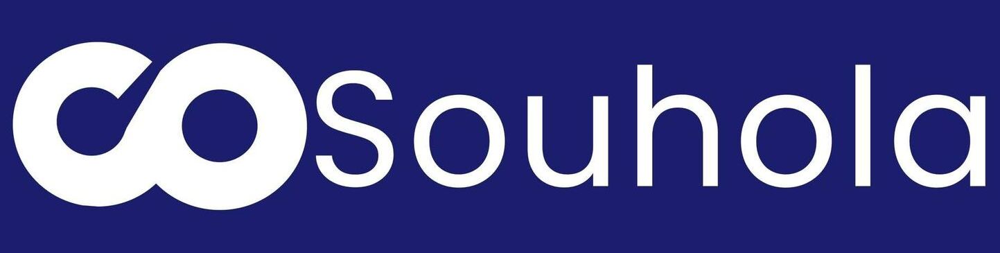 Besouhola